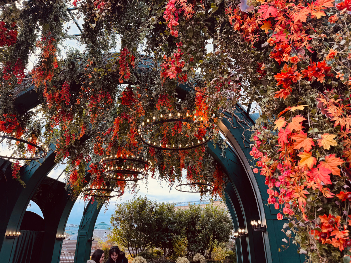 Красная площадь, г. Москва