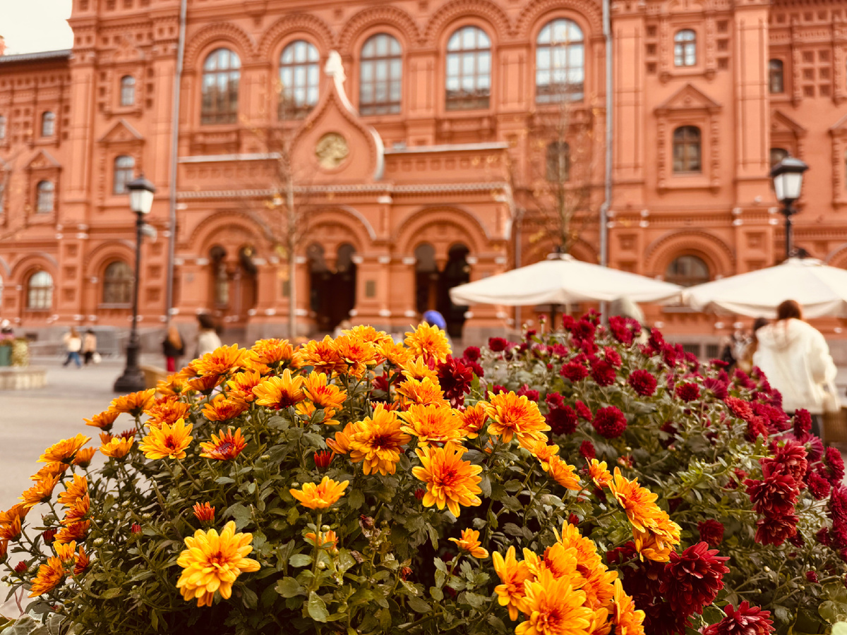 Красная площадь, г. Москва