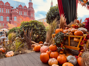 Куда сходить в Москве в октябре: Прогулка в осенних тонах