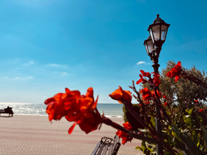 Санаторий «Полтава-Крым»: едем за физическим и ментальным здоровьем! ❤️